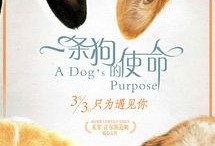 娱乐狗子10月爆料新闻